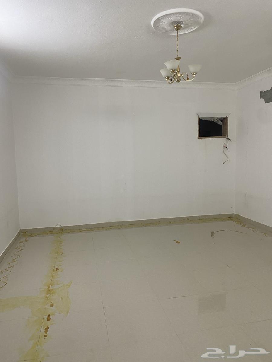 دور اول للإجار حي البيان64244661074562112