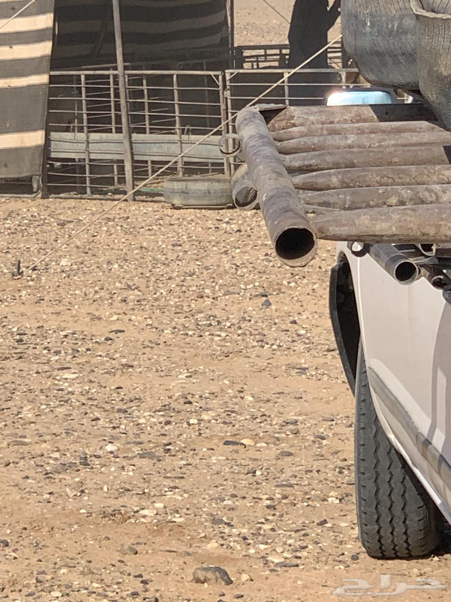 شبوك ابل64240626526594111