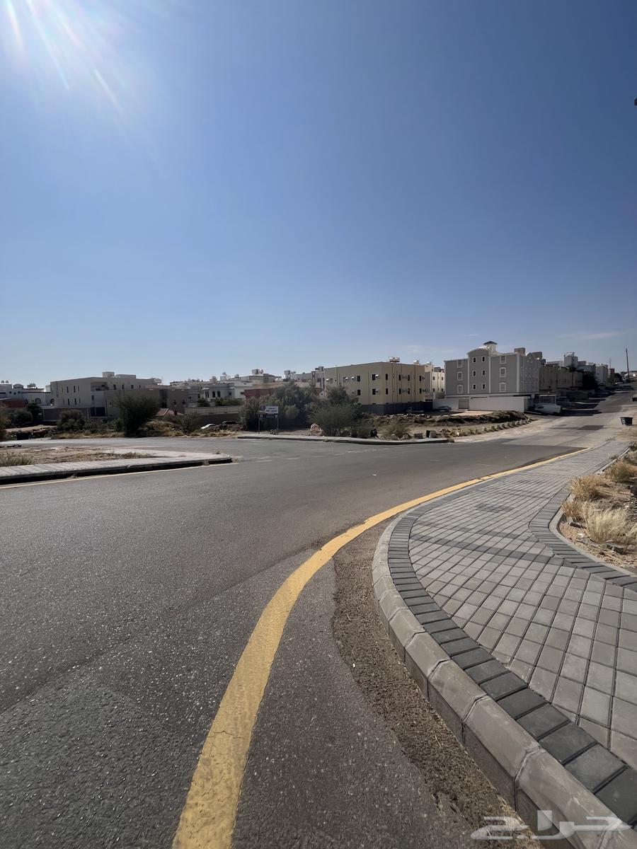 ارض للإيجار