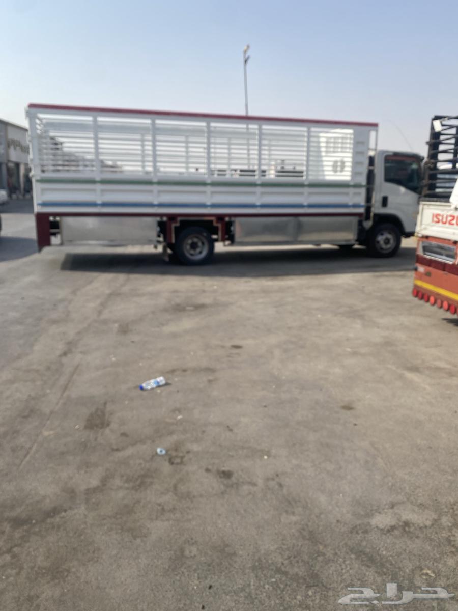 دينا دنه سوبر جامبو 6متر10 شاص طوويل64241653053441111