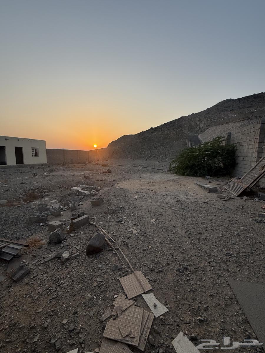 حواش فيه غرفتين وحمام64244661457154112