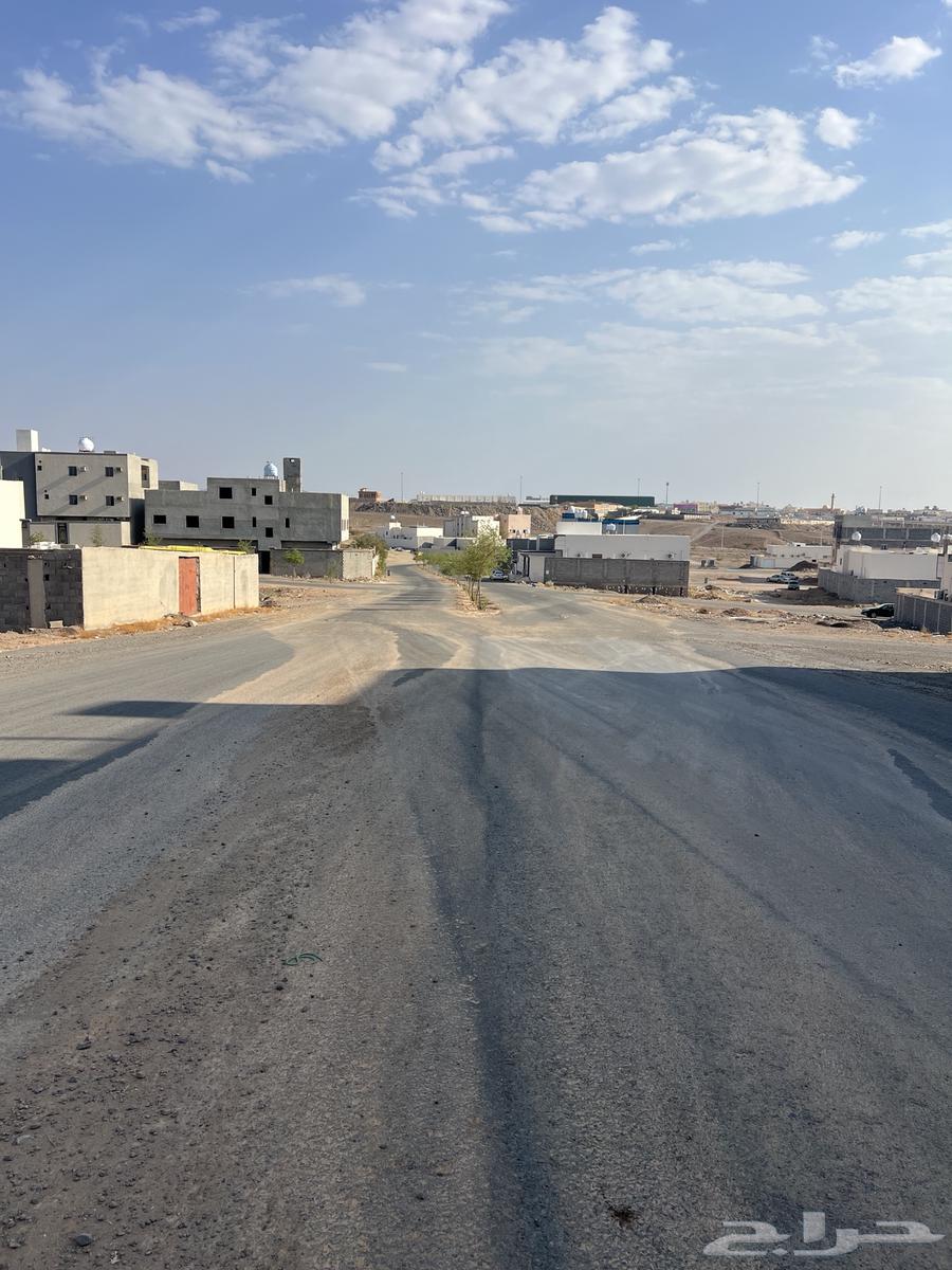 مخطط العوينة والعاقول64244823668481112