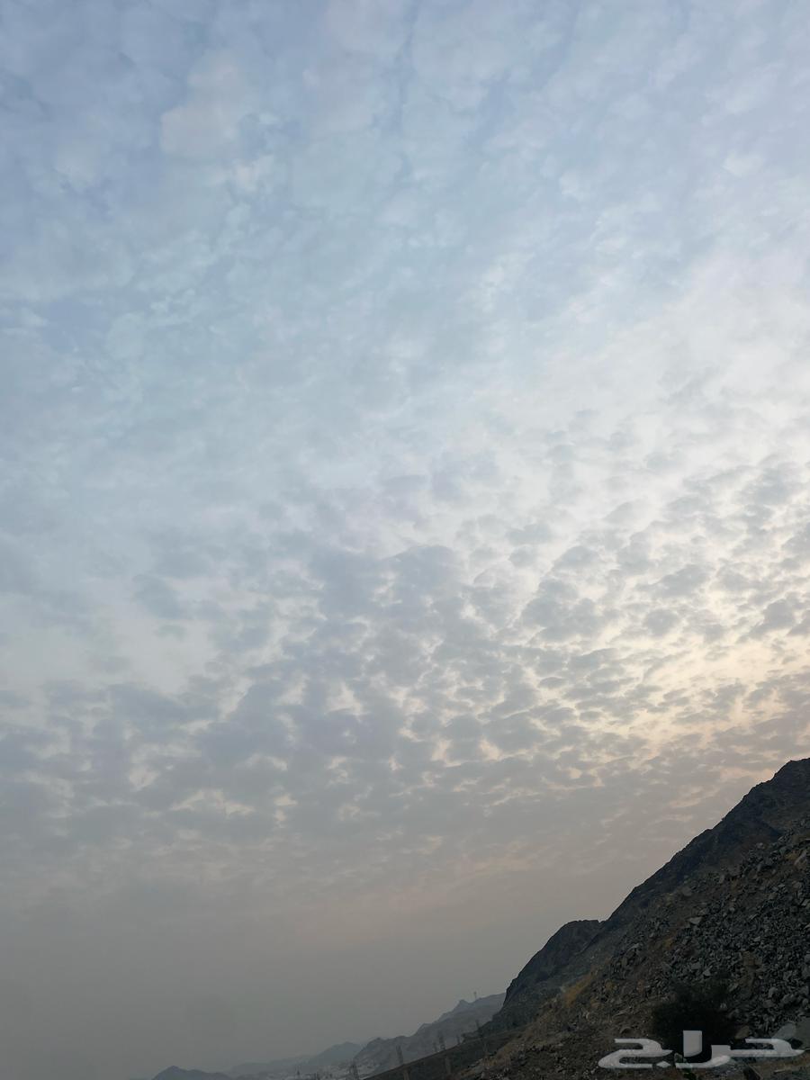 مطلوب استراحة للإيجار64240450173442110