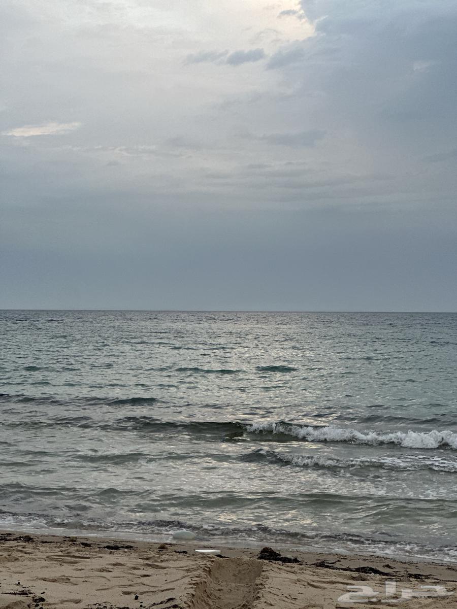 افحص لك اي سيارة بالشرقية64235246250497110