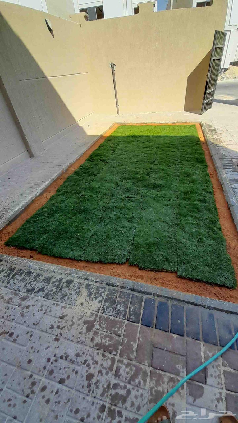 تنسيق الحدائق وتركيب العشبه الصناعي والطبيعي64241652084353113