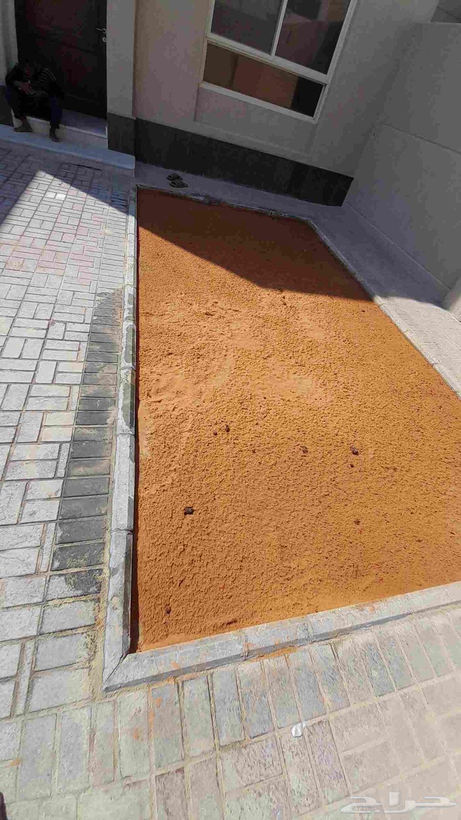 تنسيق الحدائق وتركيب العشبه الصناعي والطبيعي64241652084353114