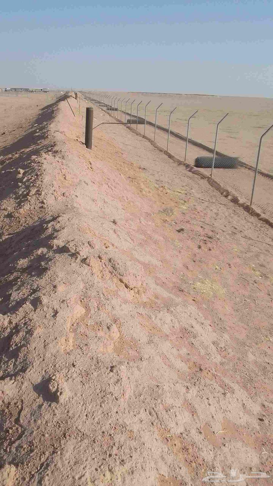 نبدا العمل بعقد موسسه معتمده شبوك سياج الامني64241651425409113