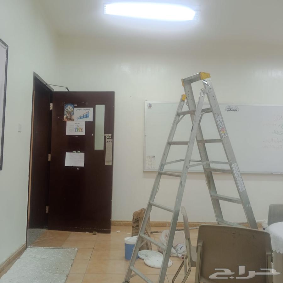 شغل دهان ديكورات معلم باكستاني شغل كهربائي64241844061313112