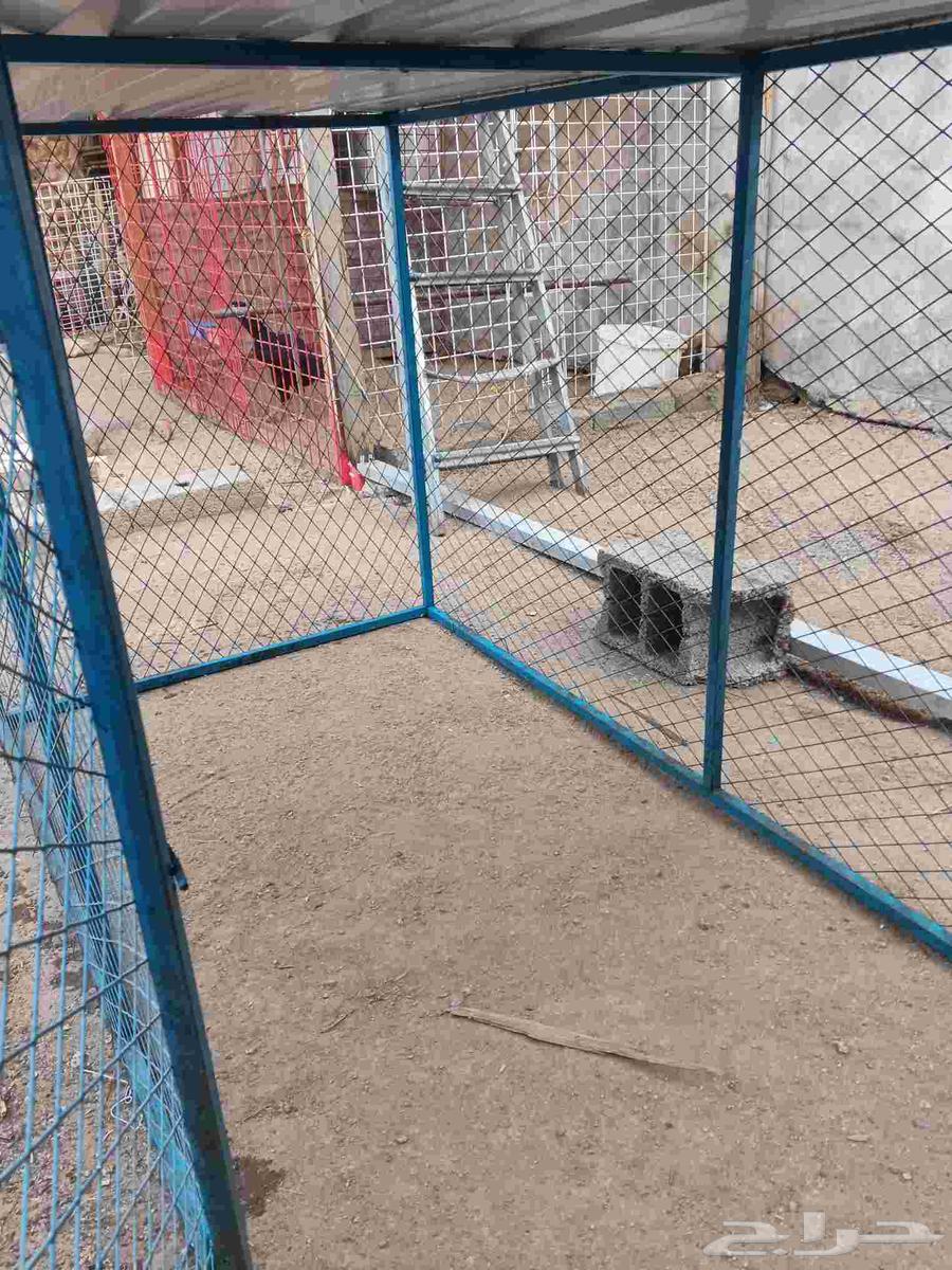 ثلاث شبوك للبيع نظيفه جدا64240786053122113