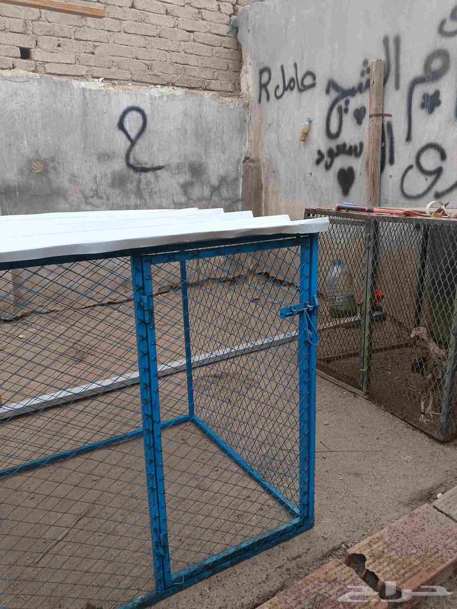 ثلاث شبوك للبيع نظيفه جدا64240786053122112