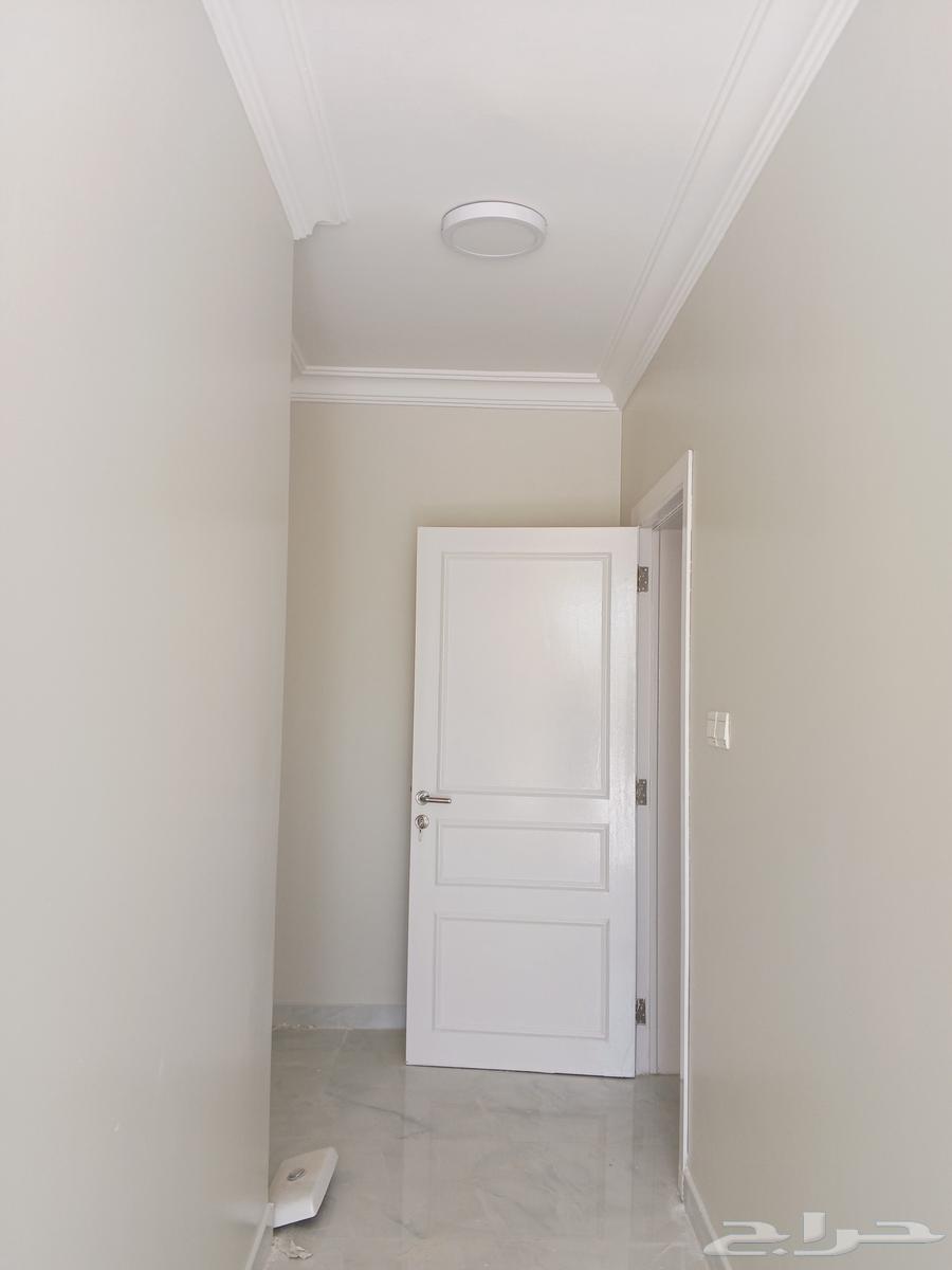 دهان ابواب حديد وخشب64240460368641112