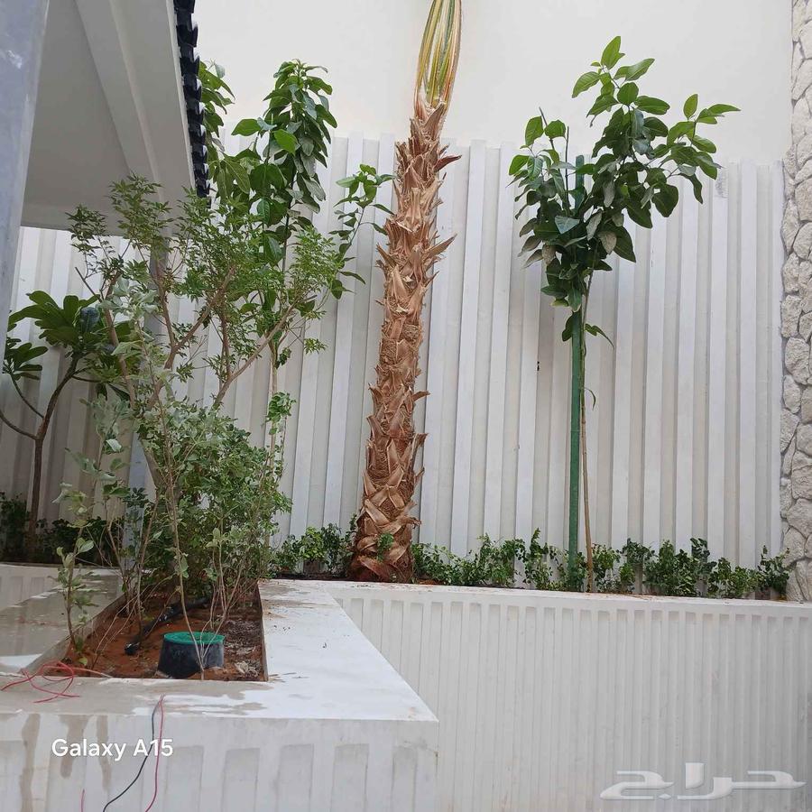 مشتل البستان تنسيق حدائق64244834534914113