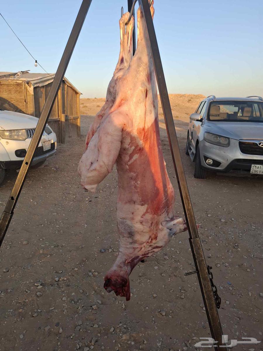 معلم مشويات خارجية64240459284866110