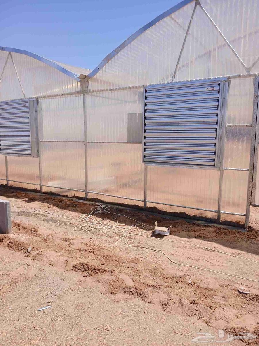 فني تركيب بيوت محمية والاصلات بأسعار مناسب للجميع64241147870594112