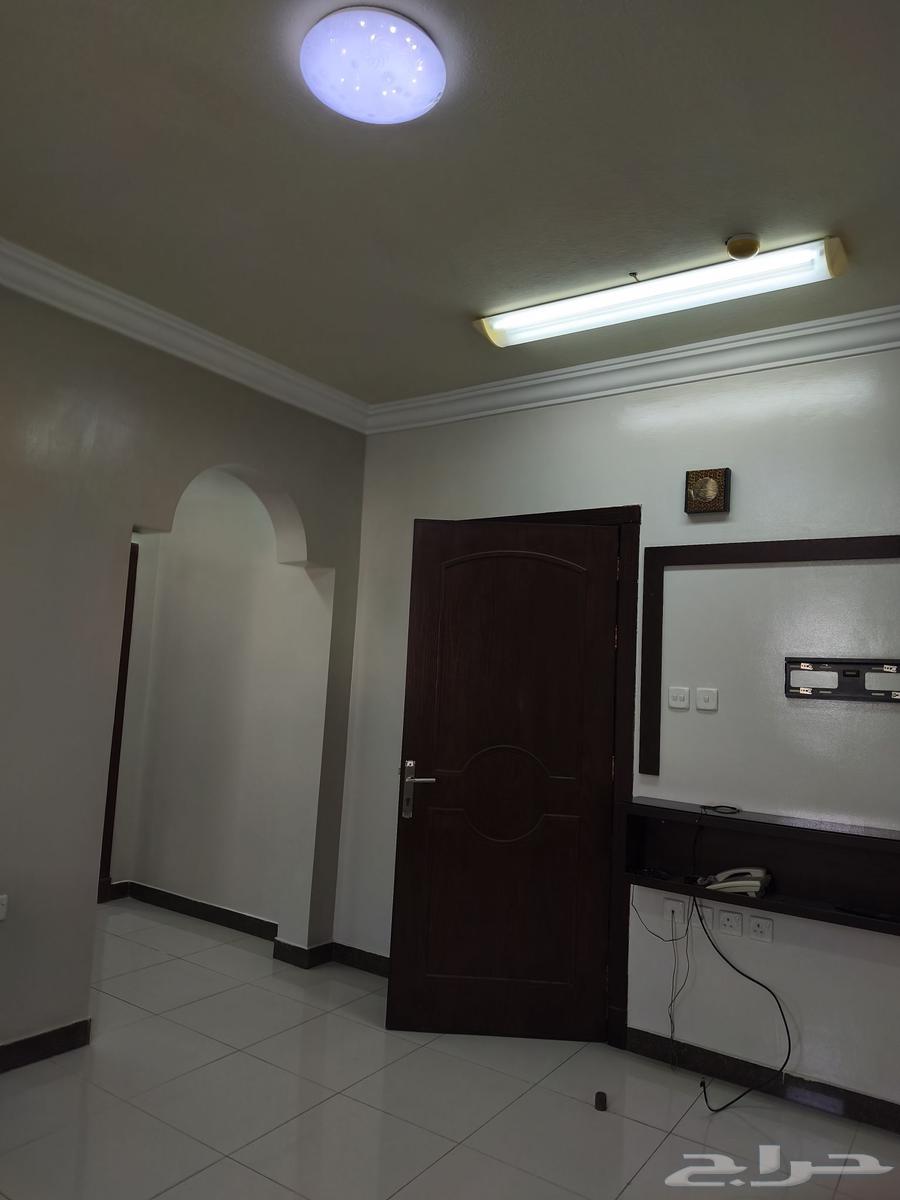 صباغ بويا داخلي خارجي عازل سطخ رويال فلفيت شغل بروبيشنل64241317495041113