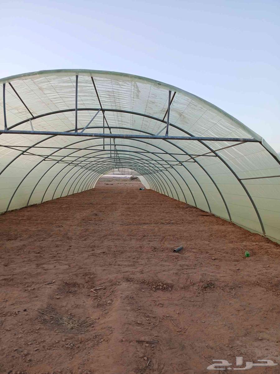 فني تركيب بيوت محمية والاصلات بأسعار مناسب للجميع64241147870594111