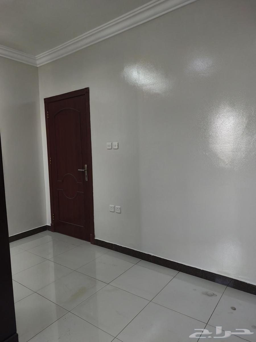 صباغ بويا داخلي خارجي عازل سطخ رويال فلفيت شغل بروبيشنل64241317495041111