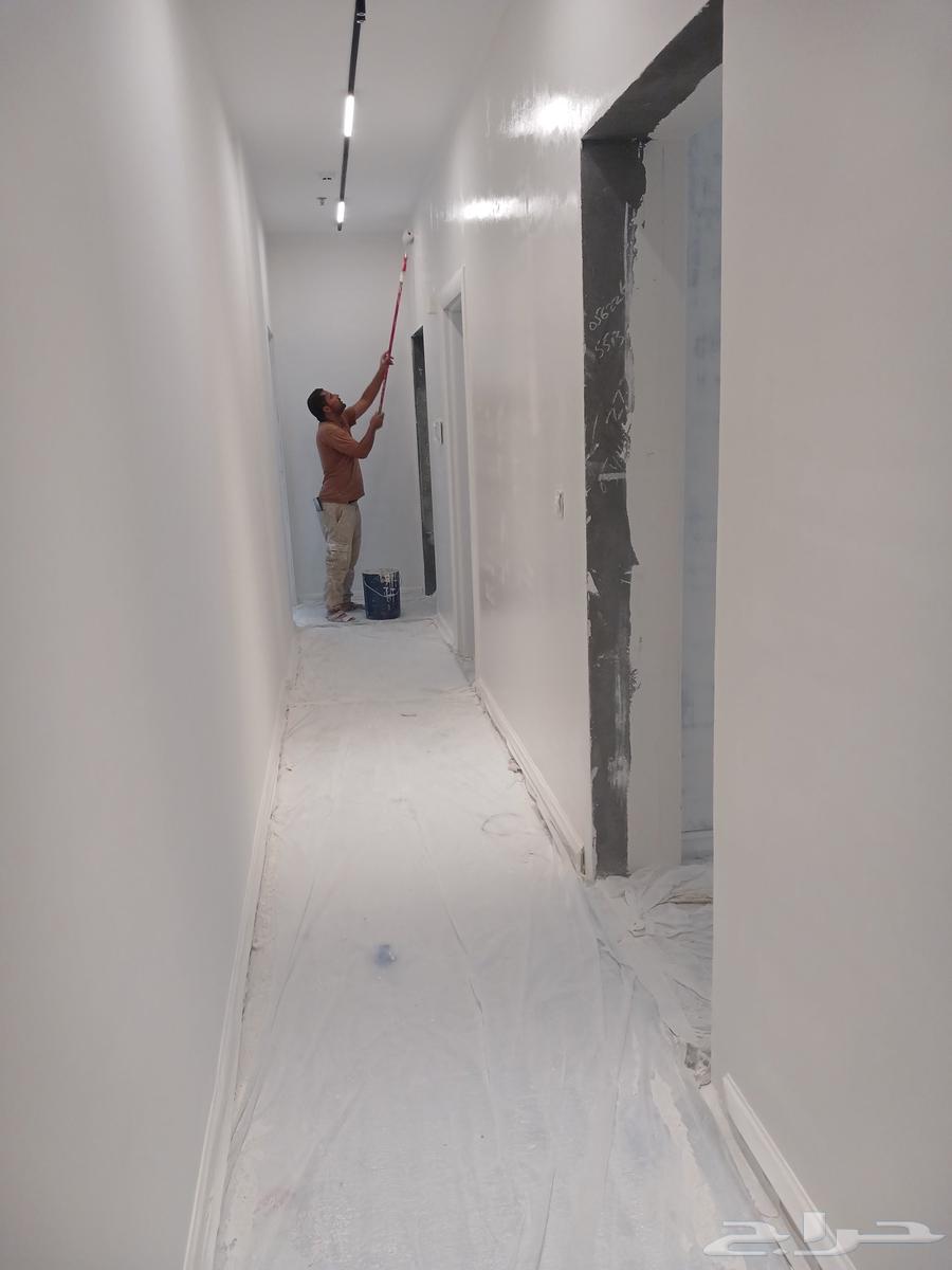 اصباغ وديكورات64240624179330114