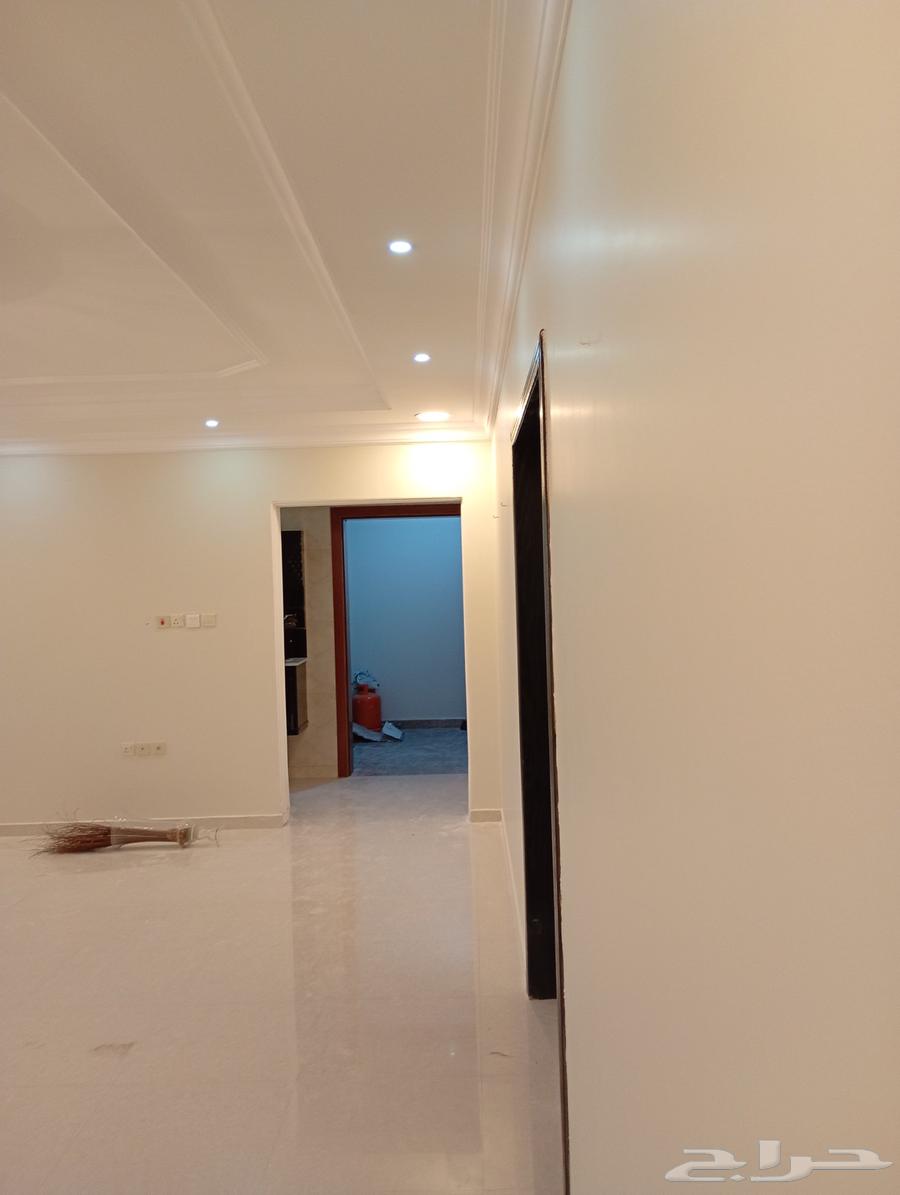 اصباغ وعوازل64241844502914111