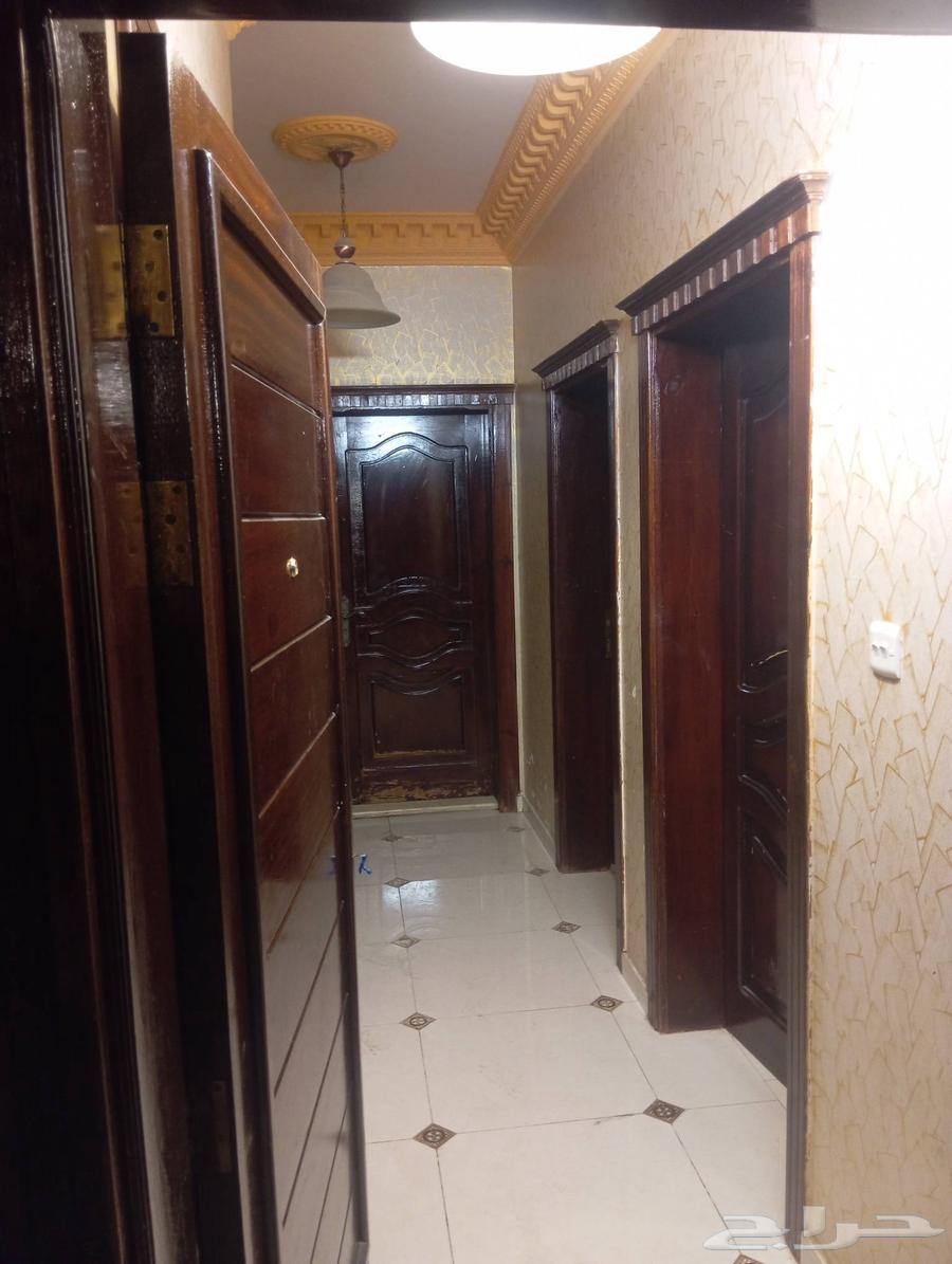 نجار صيانت وتركيب الابواب وفك وتركيب غرف النوم64241320697473110