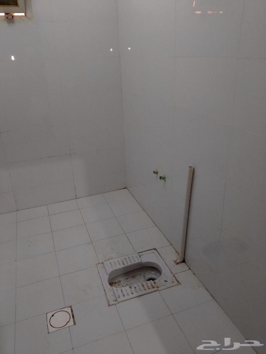 سلامي بلاط بناء تليس ت سير ترميم64240788805121111