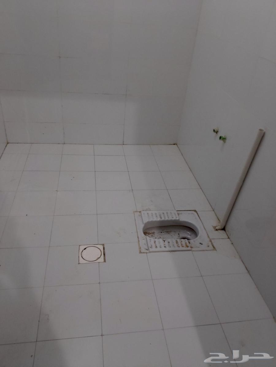 سلامي بلاط بناء تليس ت سير ترميم64240788805121114