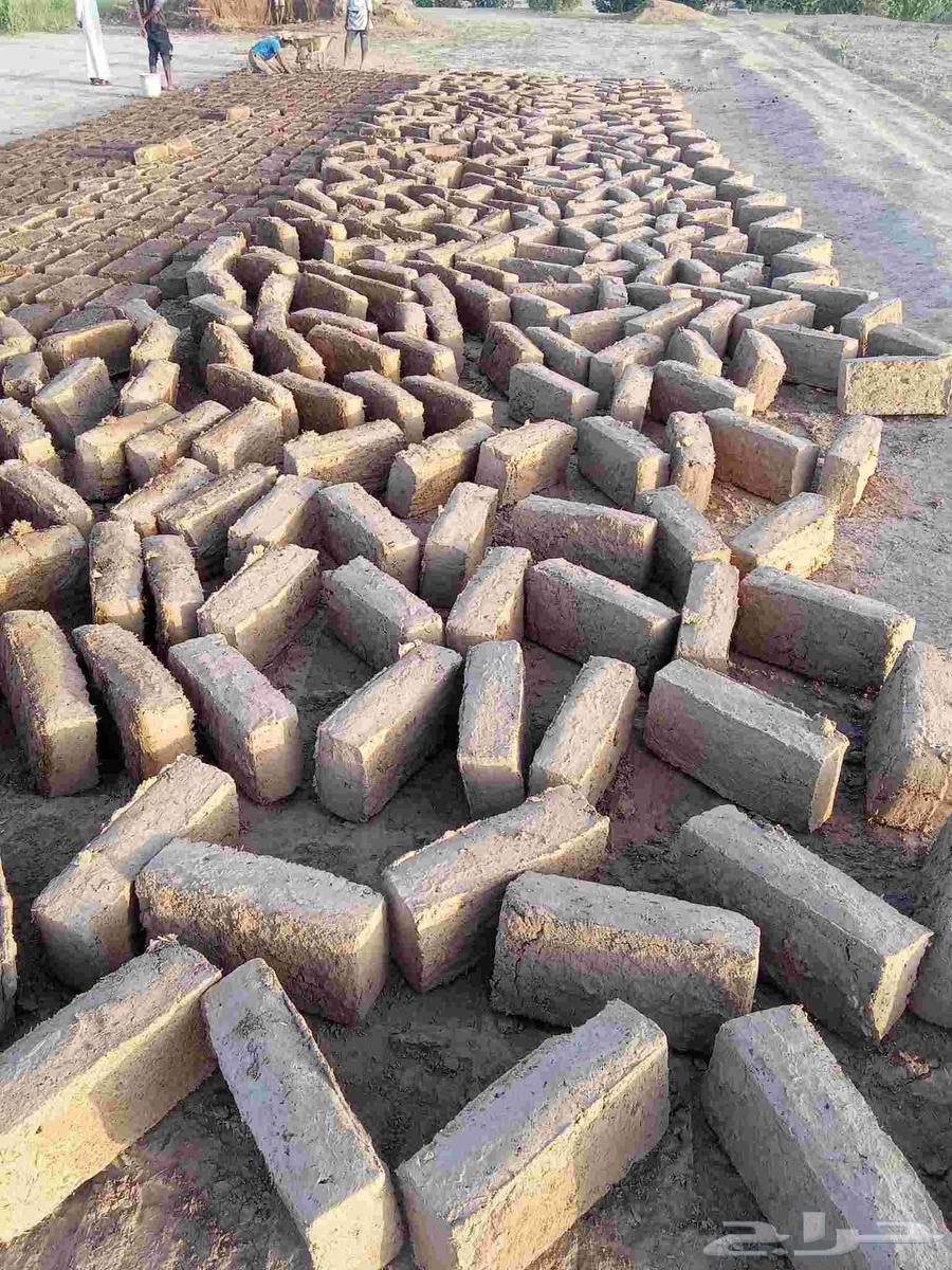 Execution of all heritage works, restorations, and stone works64241486318979114