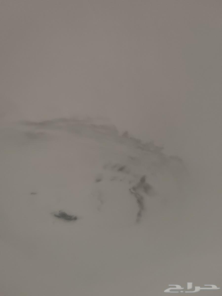 معلم بويات شمال جده64241317731201110