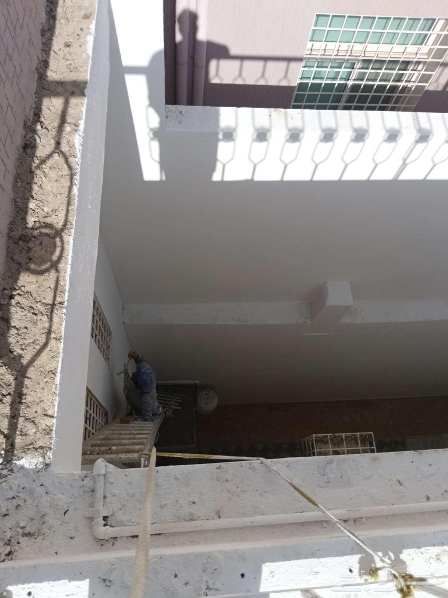 دهان بويات داخلي خارجي64241149670531110