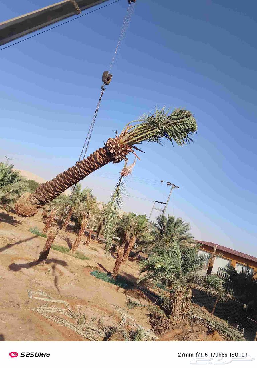 Clean the hive a little clean. tkrb. and shntn64241654223363110