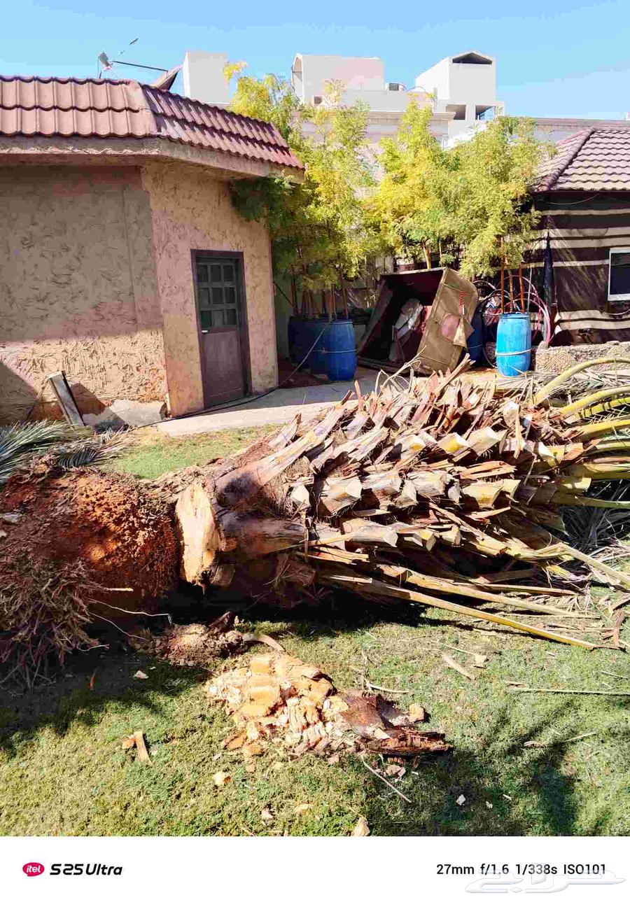 Clean the hive a little clean. tkrb. and shntn64241654223363111