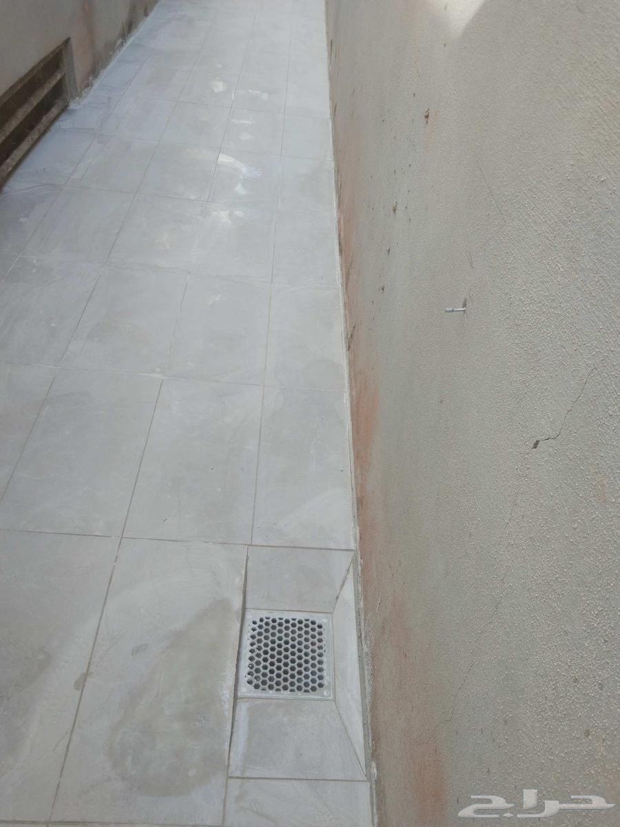 Pakistani tile layer64240627176579113