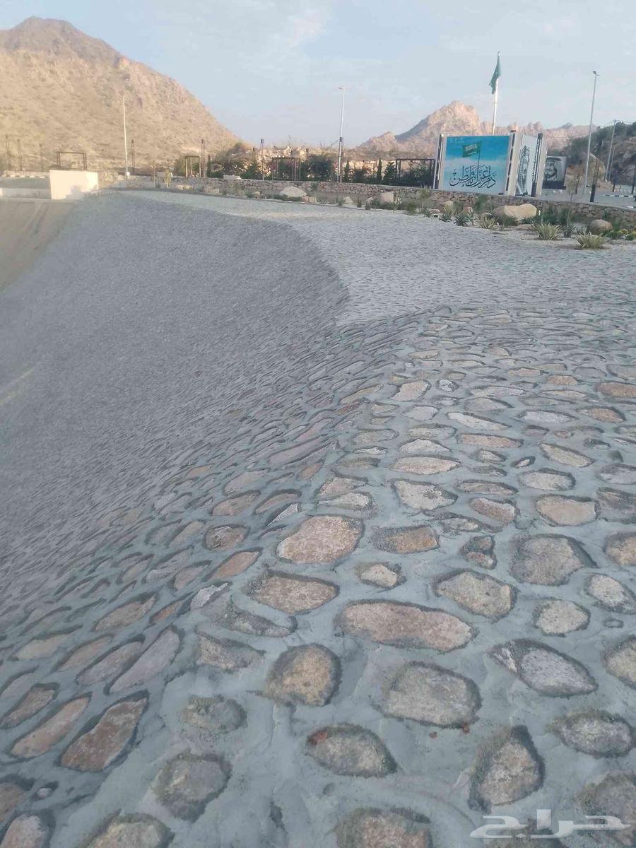 Stone teacher with various types of stones64244669022467110