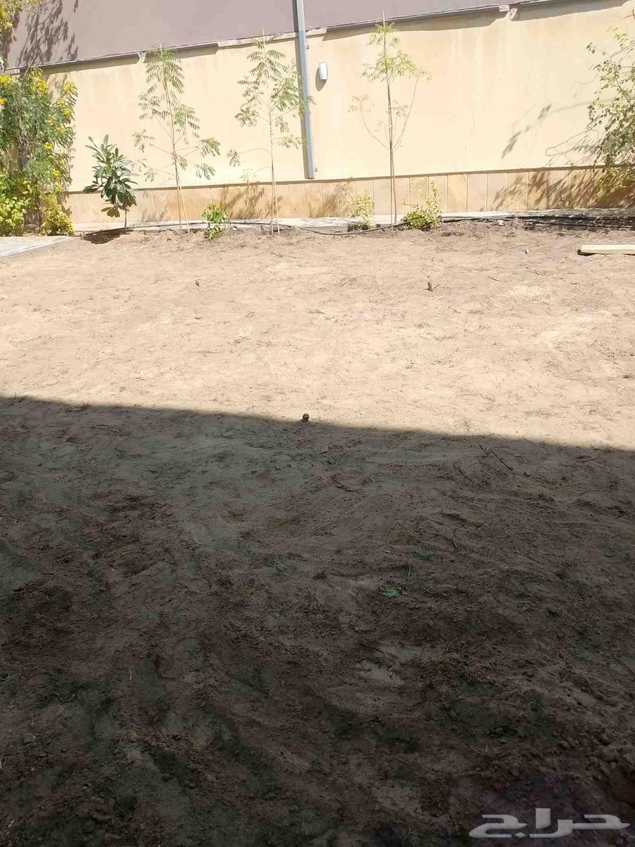 Landscaping and installation of all types of irrigation networks64241845717122111