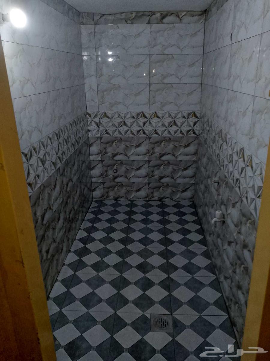 Tayef tile layer, Pakistani, trustworthy tiling work64241147320834110