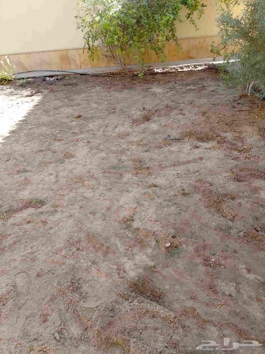 Landscaping and installation of all types of irrigation networks64241845717122114