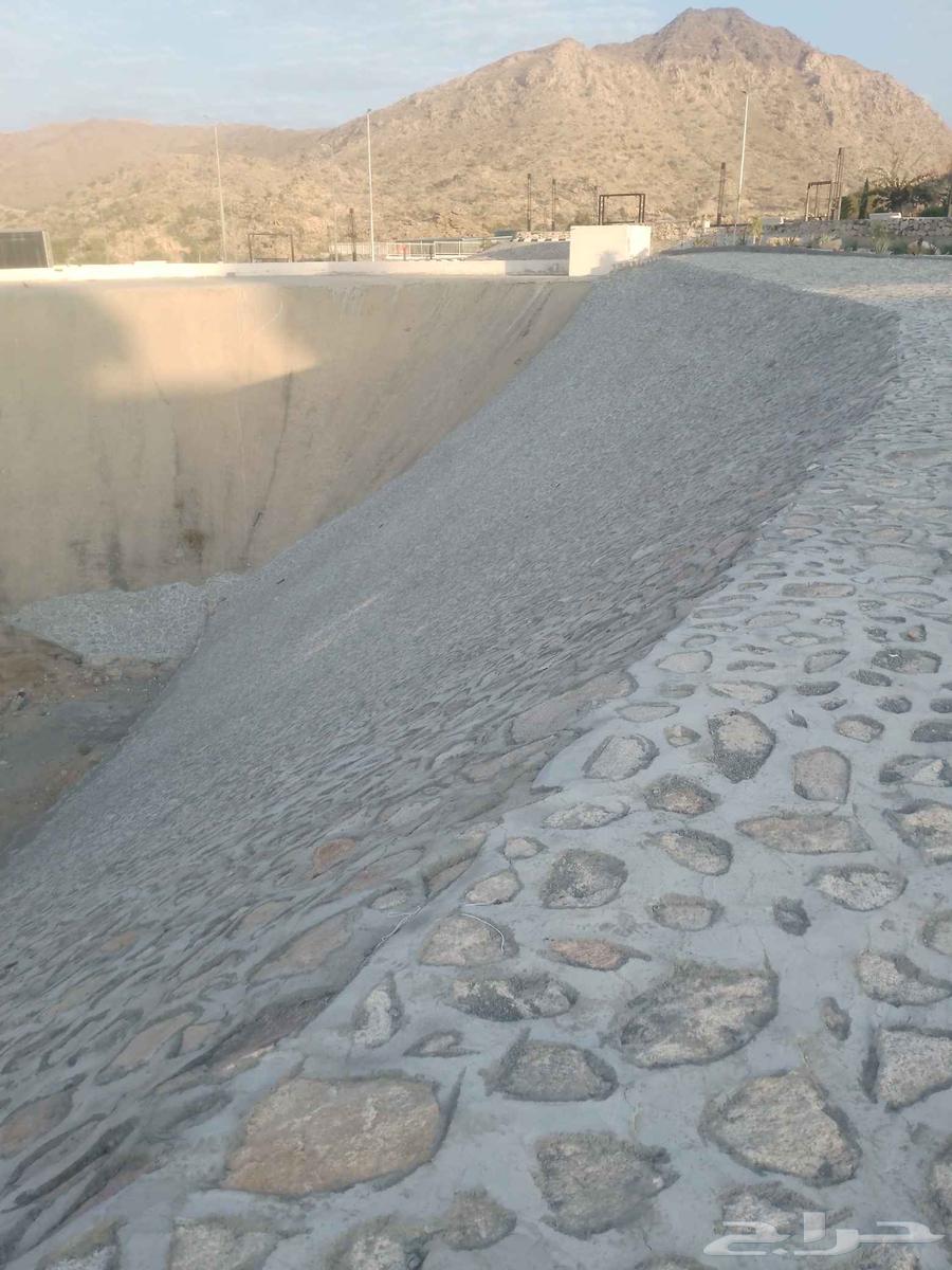 Stone teacher with various types of stones64244669022467114