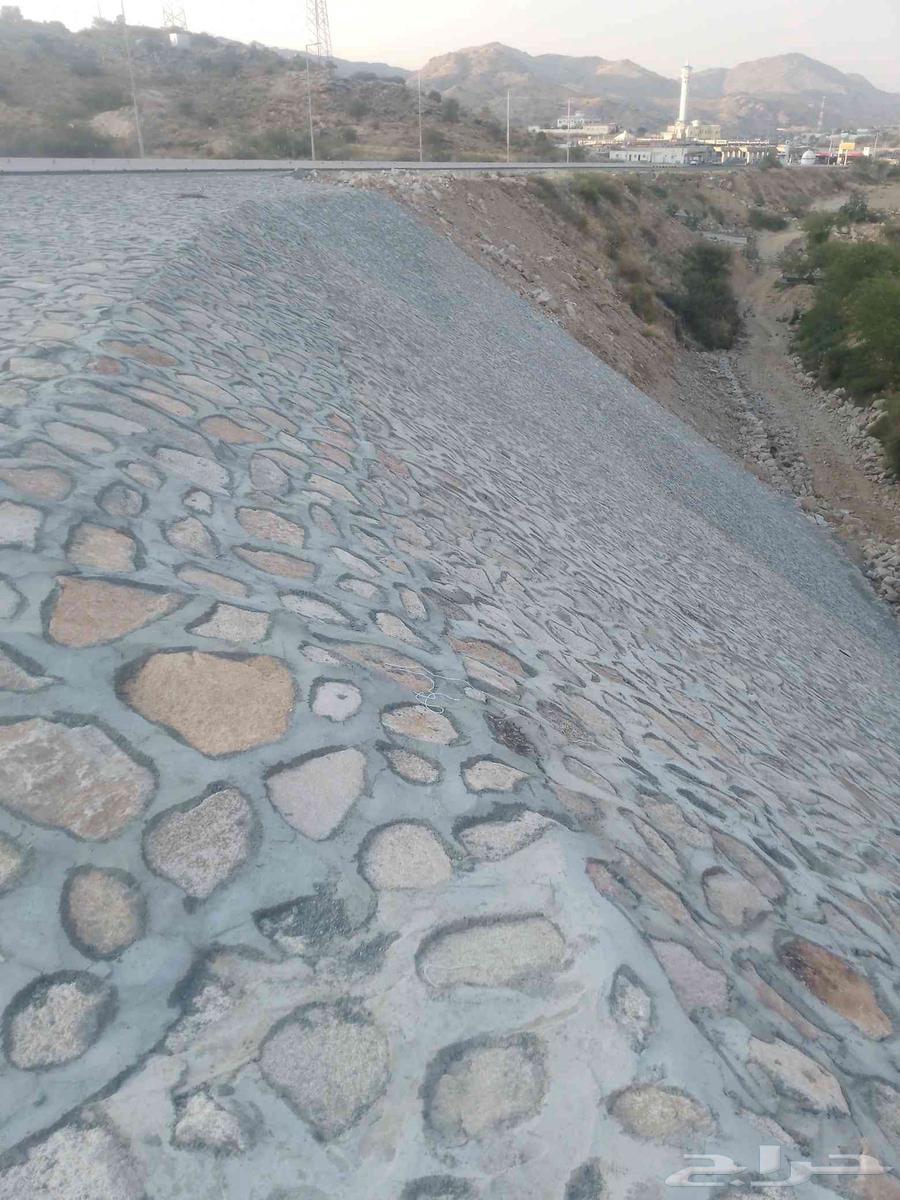 Stone teacher with various types of stones64244669022467111