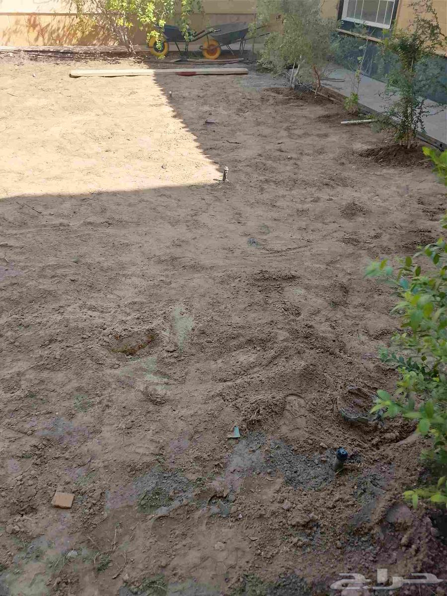 Landscaping and installation of all types of irrigation networks64241845717122113