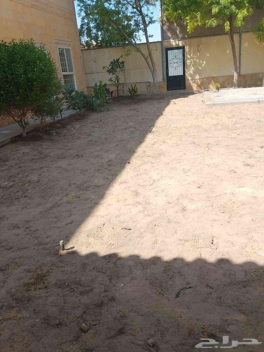 Landscaping and installation of all types of irrigation networks64241845717122112