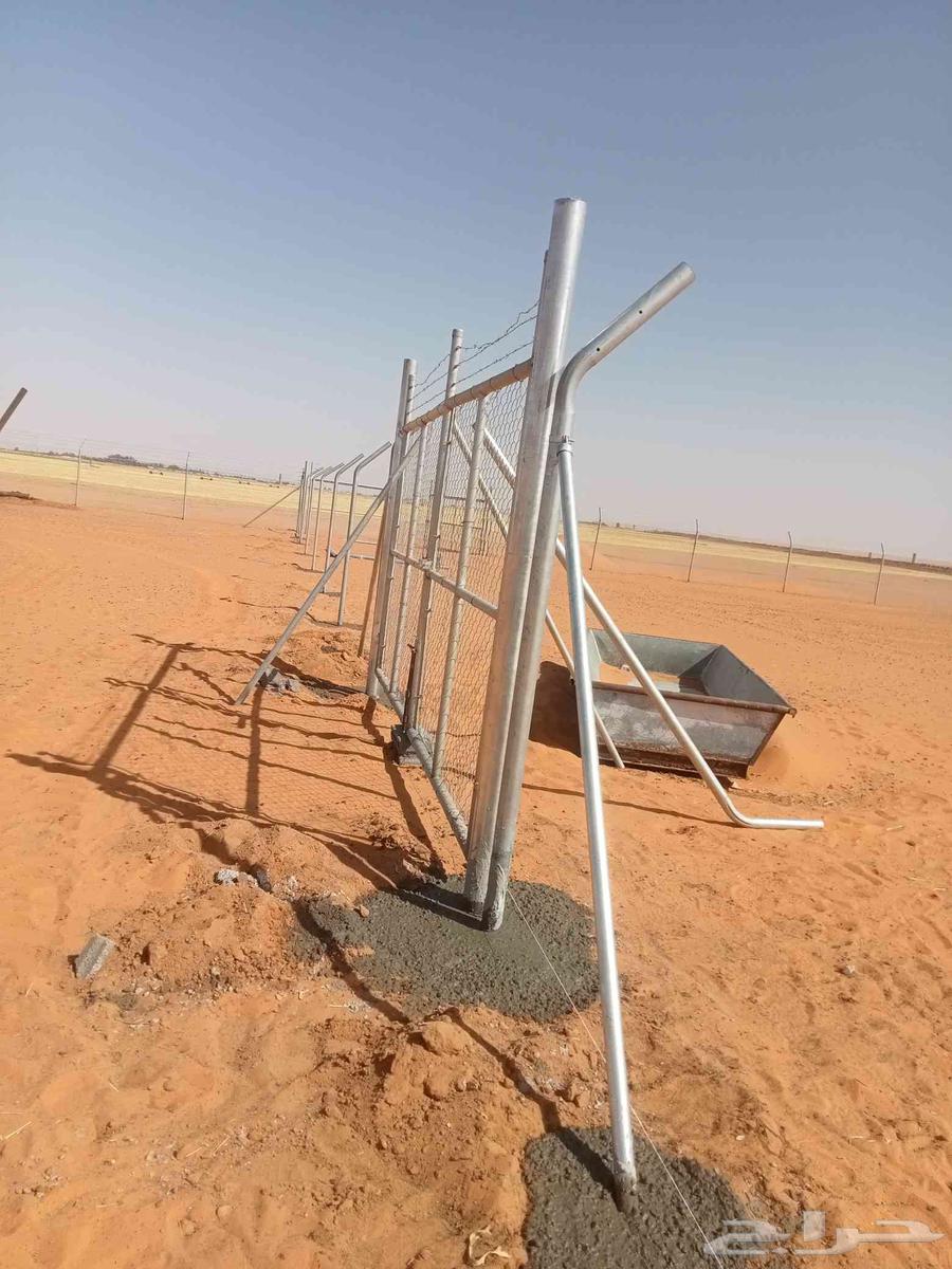 اعمال الشبوك64241651991169110