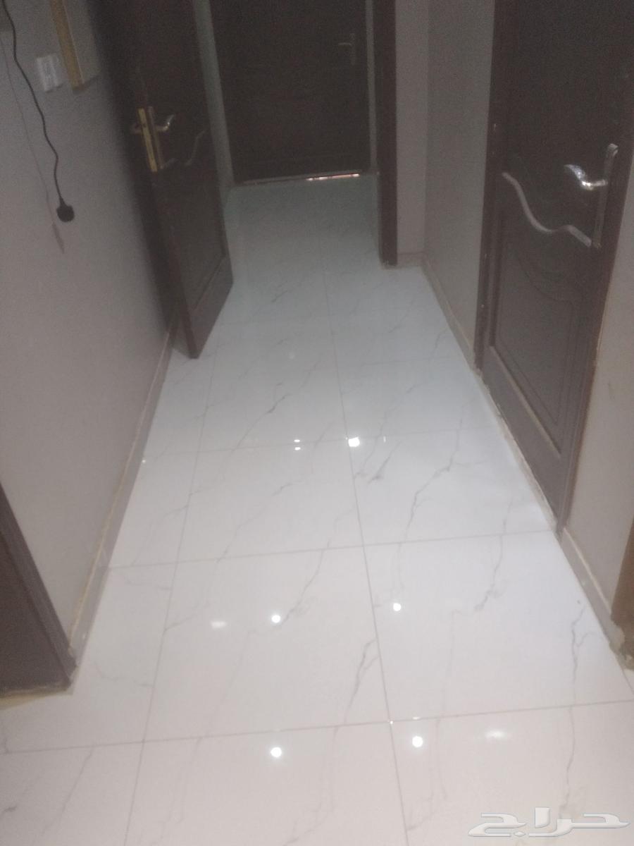 مبلط سيراميك بالمدينة64244834610945113