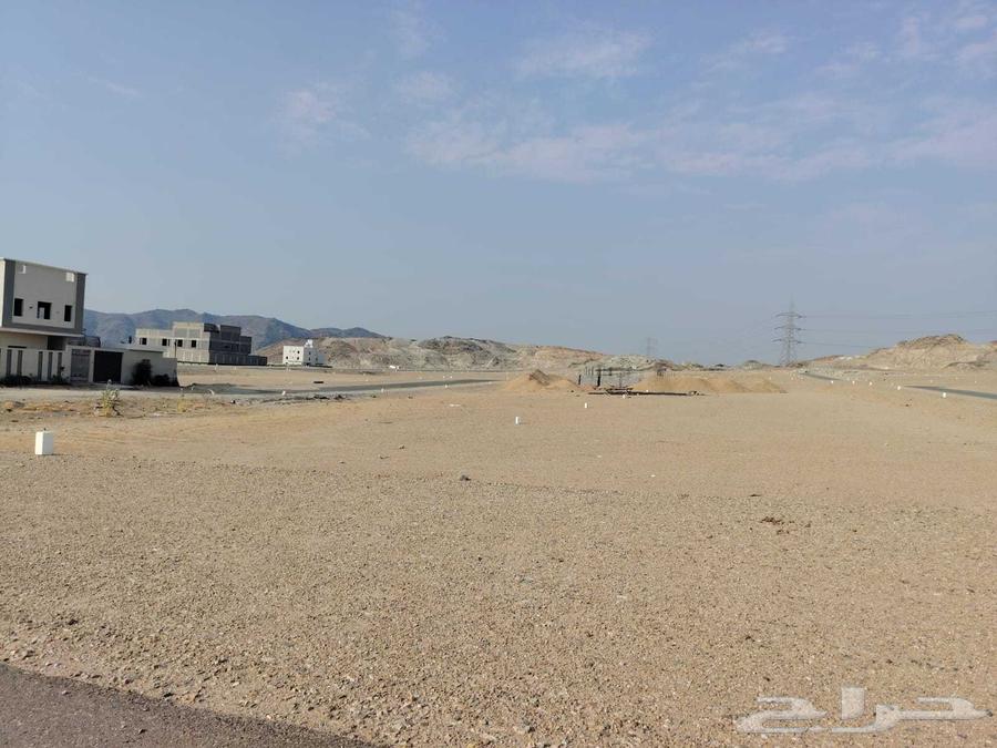 للبيع اراضي مفروزه بمخطط ولي العهد 9ح 9ب64244660769795113
