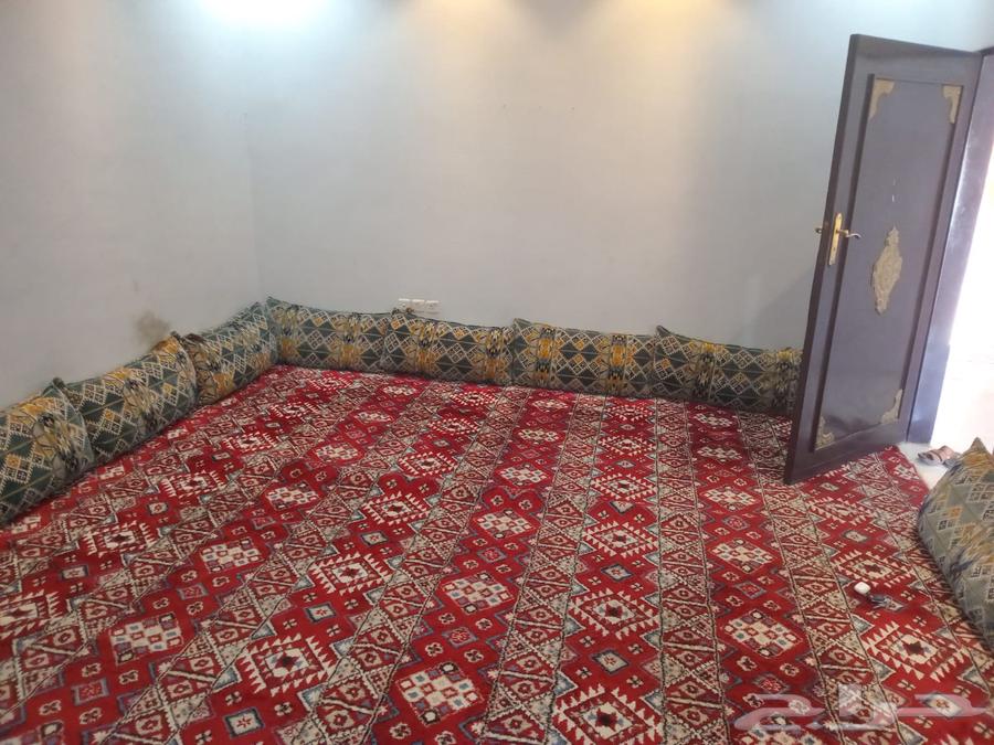 A trailer is required heading to Riyadh64240459692418110