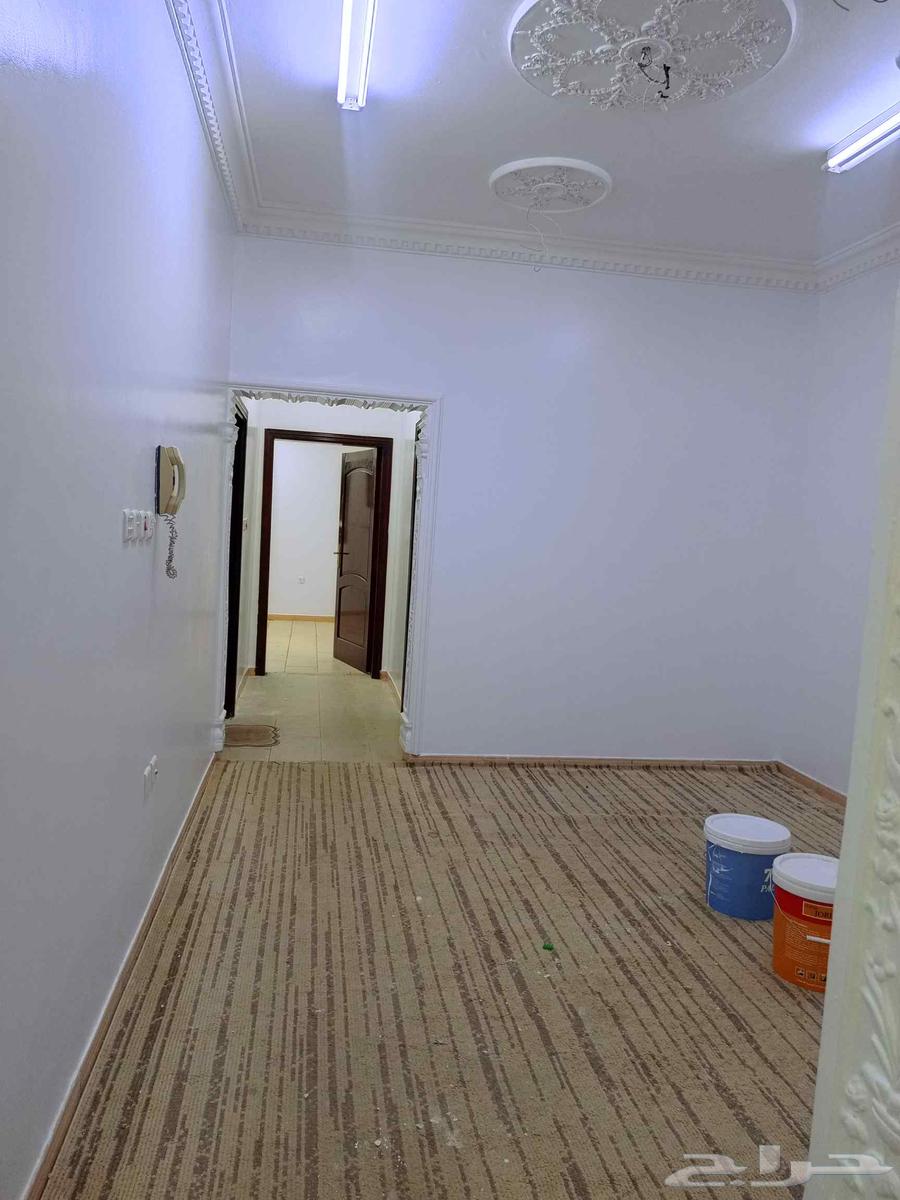 I am a dentist, internal and external tooth filling, gypsum cast, oil doors64240954833026110