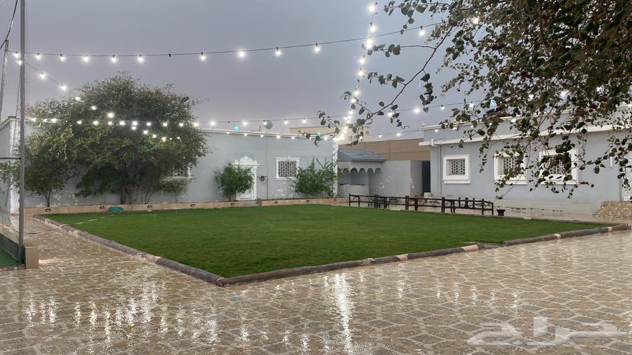 Luxurious Rest Without64240449732099110