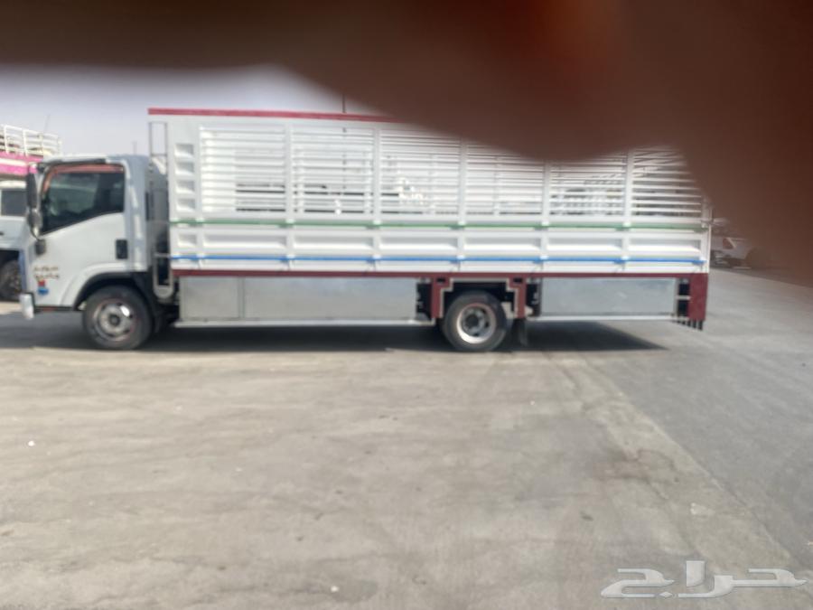 دينا دنه سوبر جامبو 6متر10 شاص طوويل64241653053441112