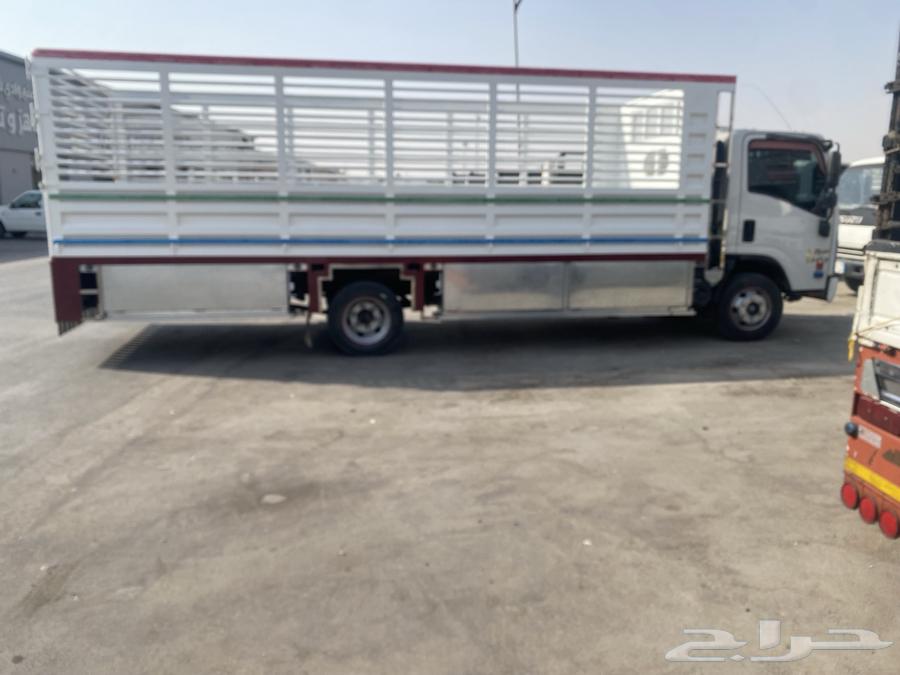 دينا دنه سوبر جامبو 6متر10 شاص طوويل64241653053441114