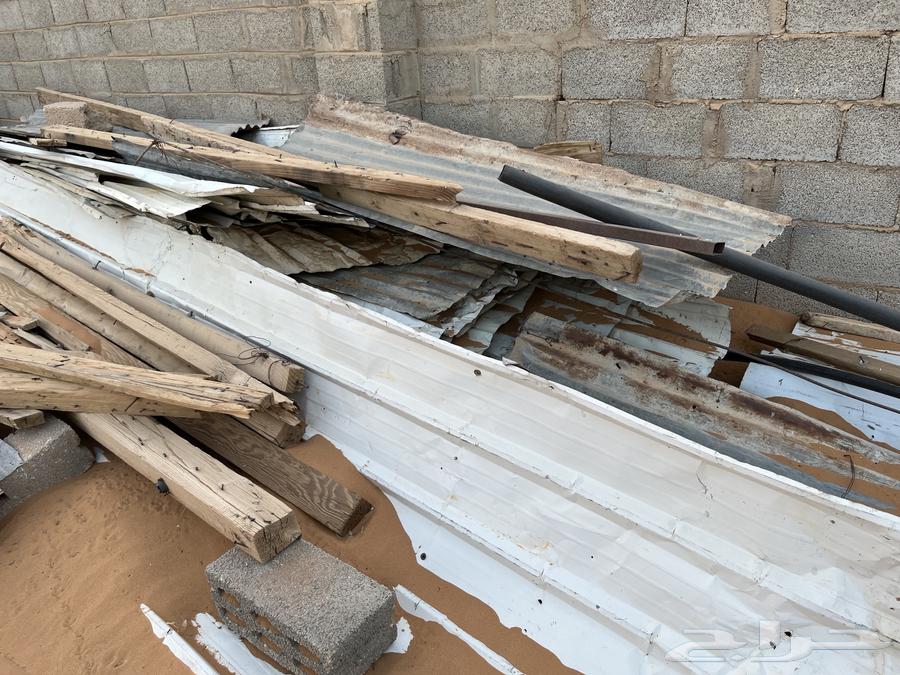 Shbouk and Shinko64241486841345112