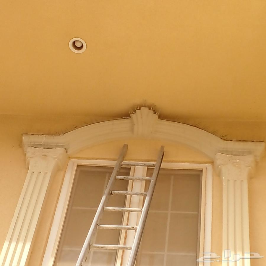 طاردالحمام تركيب شبك وأشواك مانع الطيور64240148682499111